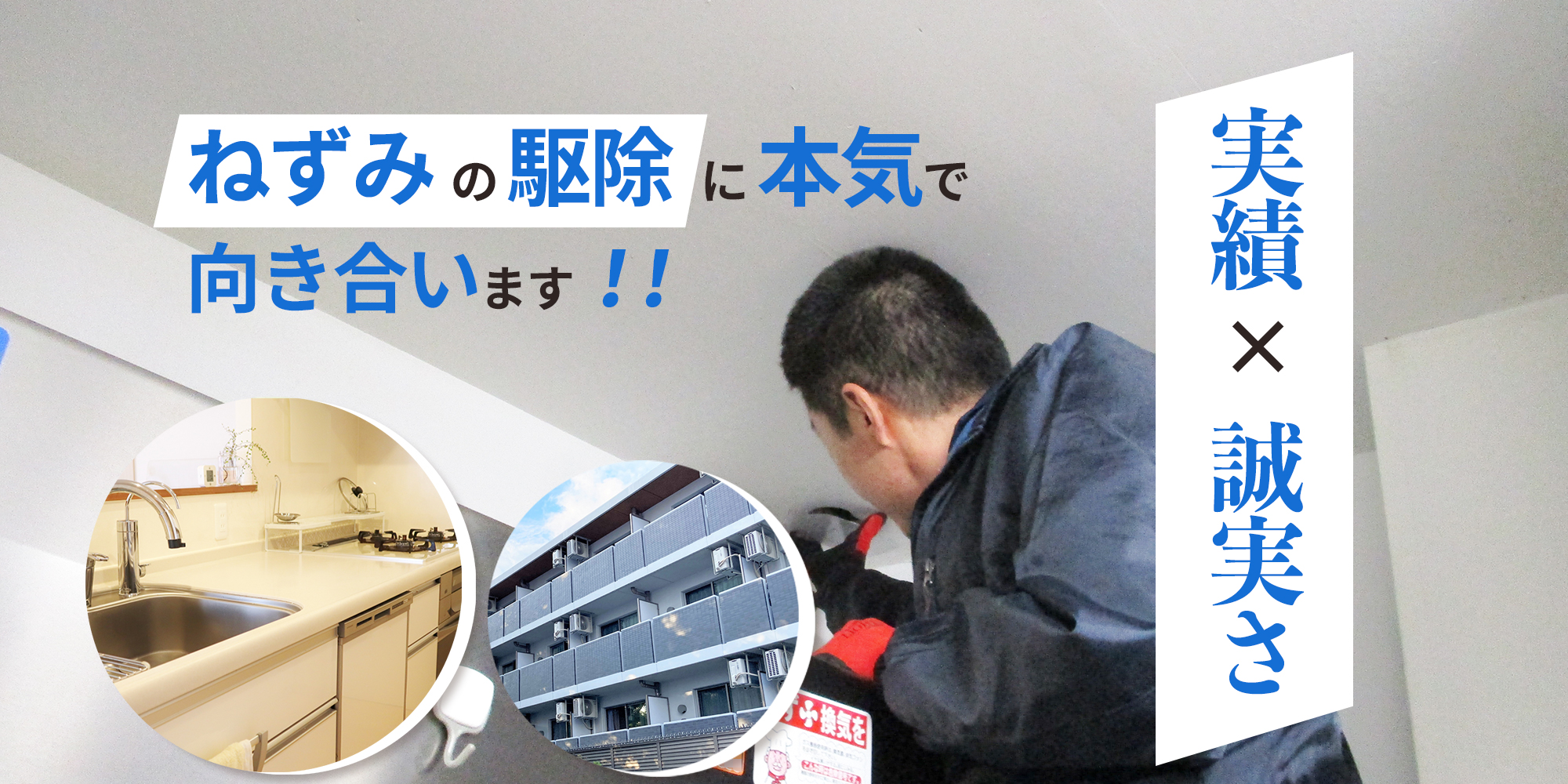 ねずみ/ネズミ駆除業者セイコークリーンサービス│東京、埼玉、千葉西部に対応