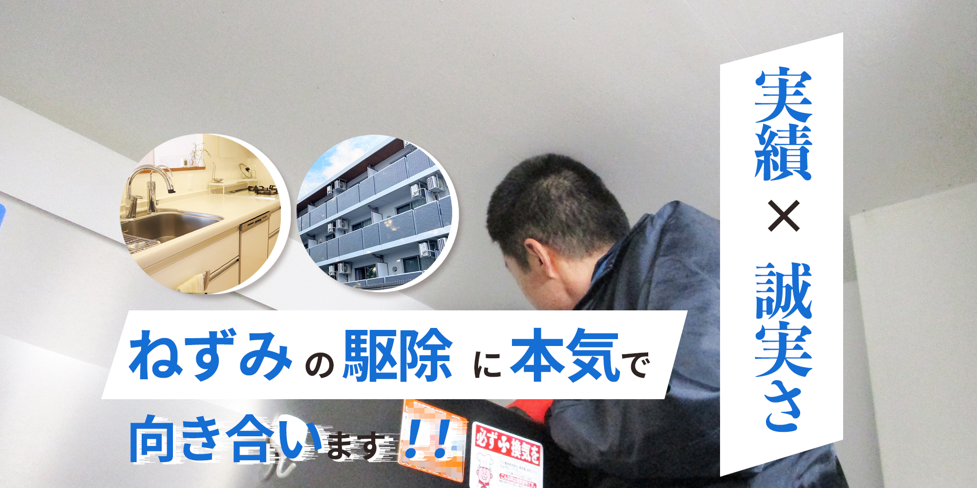 ねずみ/ネズミ駆除業者セイコークリーンサービス│東京、埼玉、千葉西部に対応