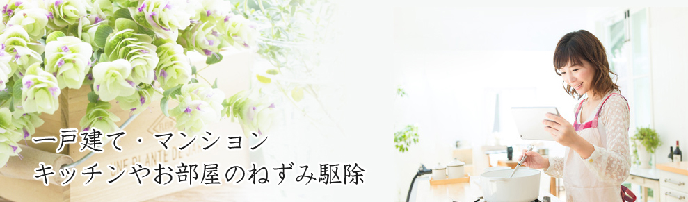 マンション・一戸建て、キッチンやリビングのねずみ駆除