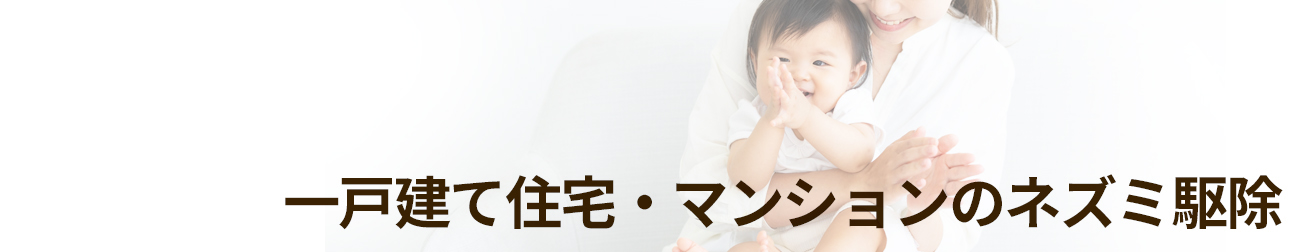 一般住宅のねずみ/ネズミ駆除業者セイコークリーンサービス│東京、埼玉、千葉西部に対応