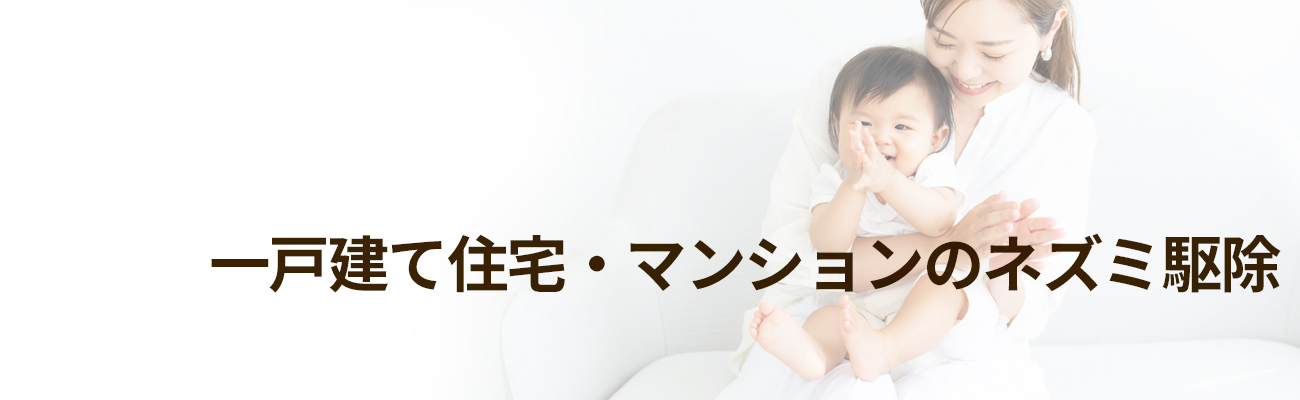 ねずみ/ネズミ駆除業者セイコークリーンサービス│東京、埼玉、千葉西部に対応