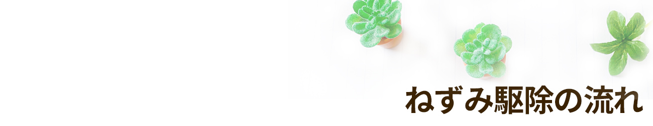 一般住宅のねずみ/ネズミ駆除業者セイコークリーンサービス│東京、埼玉、千葉西部に対応