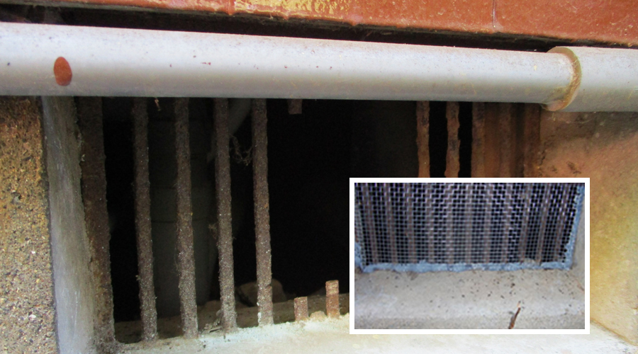 ねずみ駆除後に侵入経路を断つ