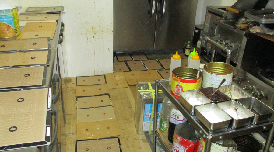 ねずみ駆除後に侵入経路を断つ