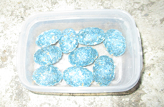 東京のねずみ駆除（埼玉・千葉西部）