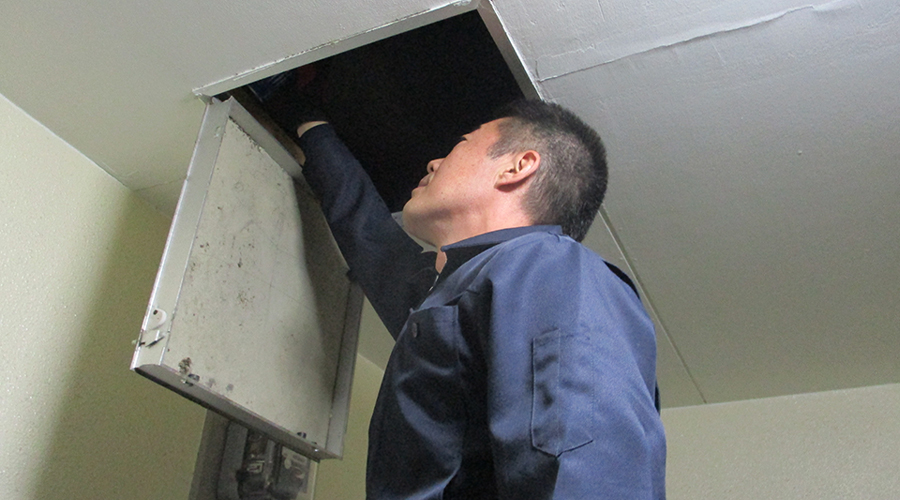 ねずみの生態をよく知ったうえで本気の駆除！