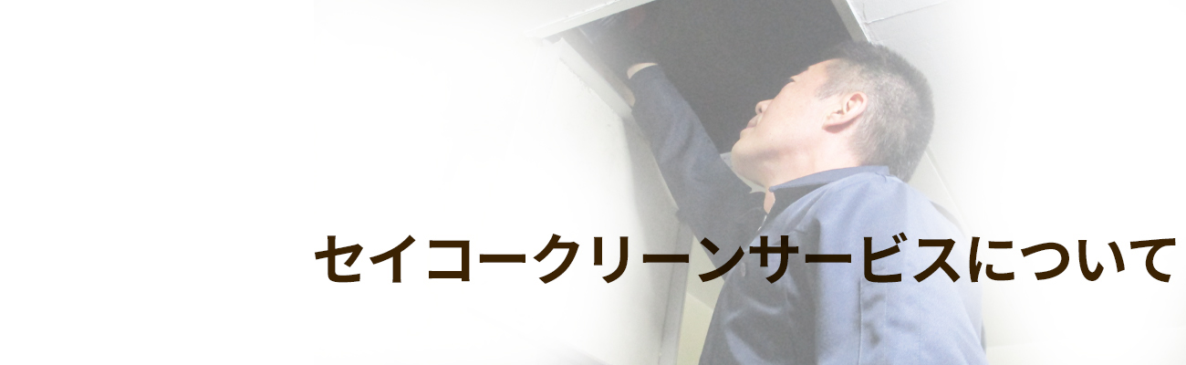 ねずみ/ネズミ駆除業者セイコークリーンサービス│東京、埼玉、千葉西部に対応