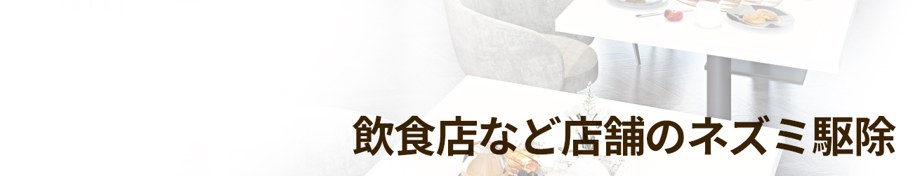 一般住宅のねずみ/ネズミ駆除業者セイコークリーンサービス│東京、埼玉、千葉西部に対応