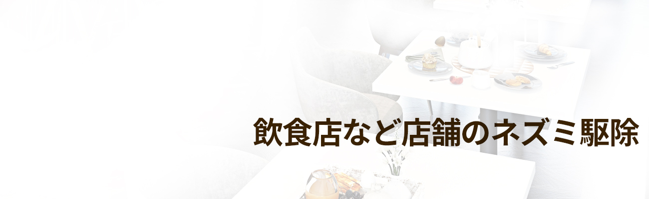 ねずみ/ネズミ駆除業者セイコークリーンサービス│東京、埼玉、千葉西部に対応